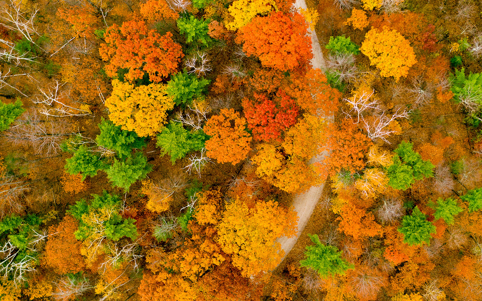 land big image slide