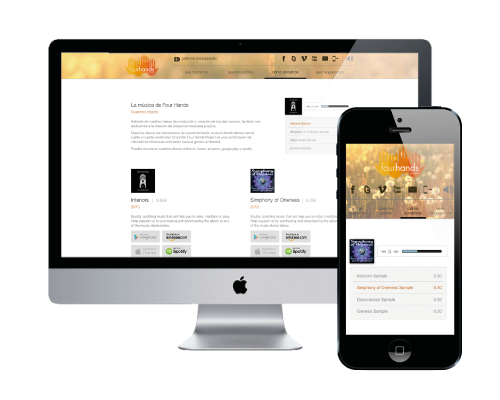 detail 2 - music producer corporate website design