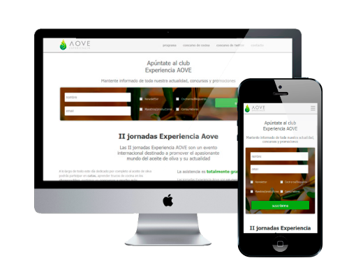 detail 1 - olive oil website company