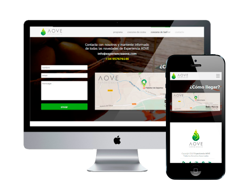 detail 2 - olive oil website company